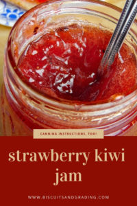 strawberry kiwi jam canning