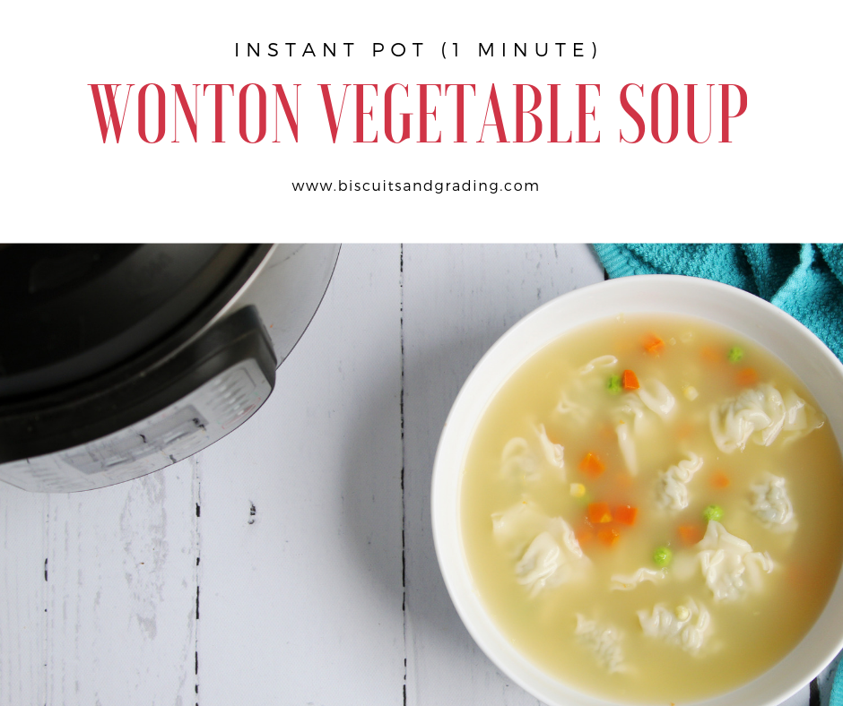 Healthy 1-Minute Instant Pot Wonton Vegetable Soup