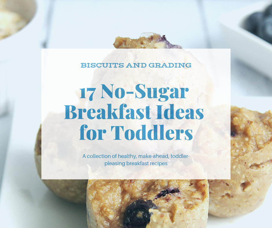 17 No Sugar Breakfast Ideas for Toddlers