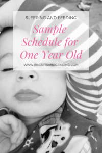 Sample Schedule for One Year Old #toddlerschedule #babyschedule #momblog #sleepschedule #babysleepschedule #breastfeeding #fedisbest
