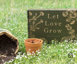 date night in let love grow