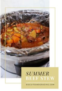 Summer Beef Stew Pinterest #crockpot #slowcooker #weeknightmeals #comfortfood