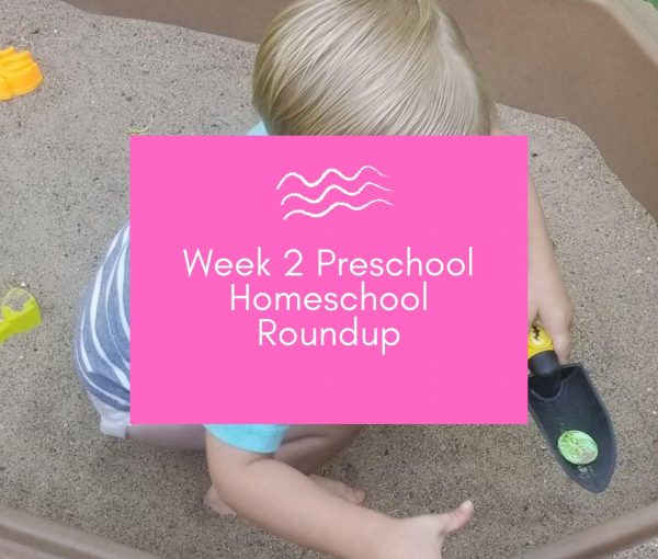 Week 2 Preschool Homeschool Activities Roundup