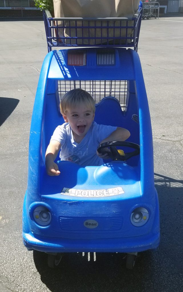 toddler in shopping cart at IGA