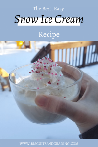 Best Easy Snow Ice Cream Recipe