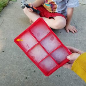 Ice cube tray with frozen animals sensory activity