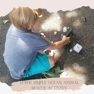ocean animal rescue activity featured image