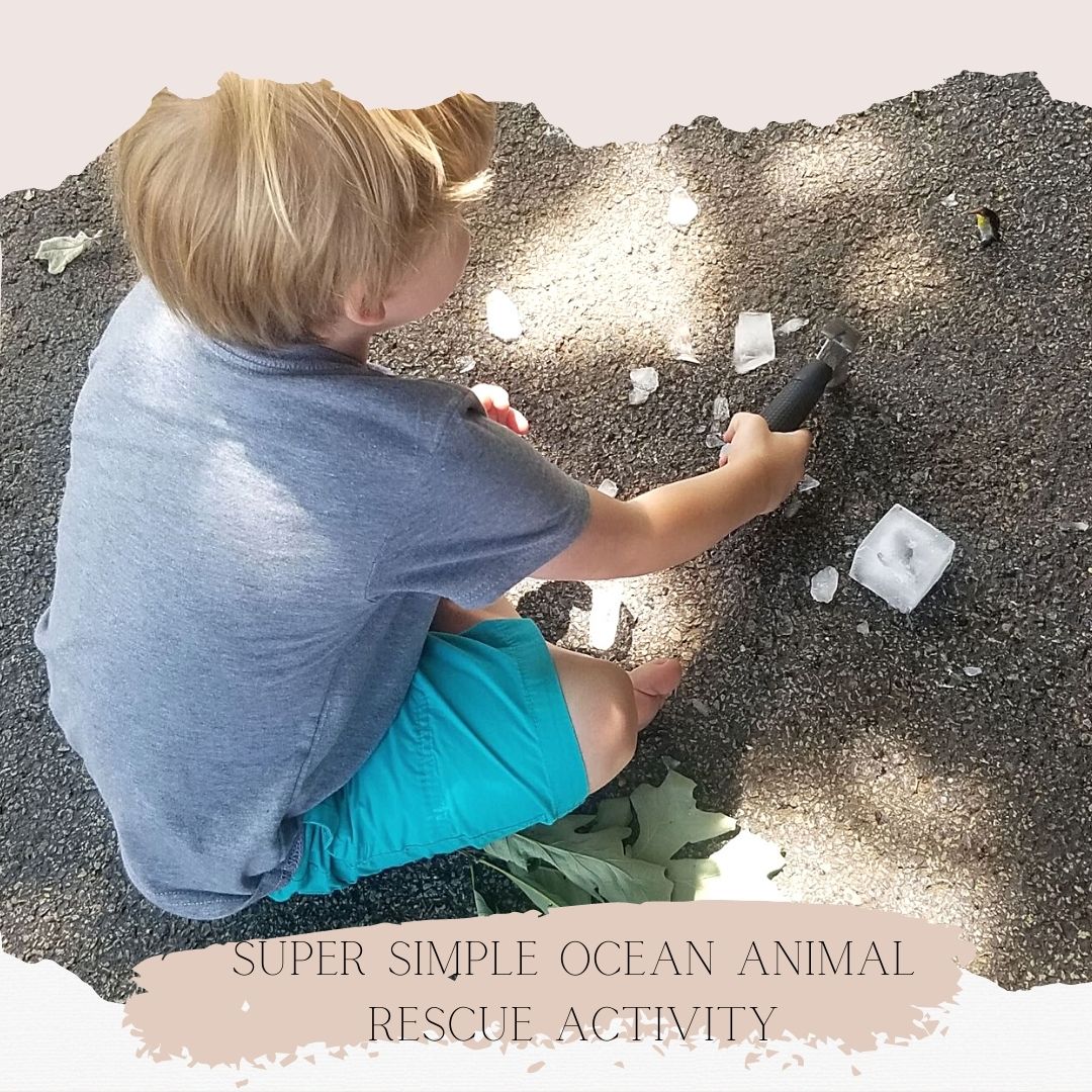Super Simple Ocean Animal Rescue Activity