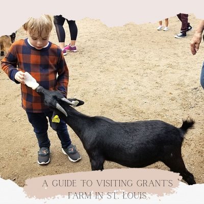 A Guide to Visiting Grant's Farm in St. Louis