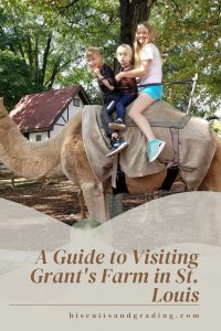 guide to visiting grant's farm st. louis