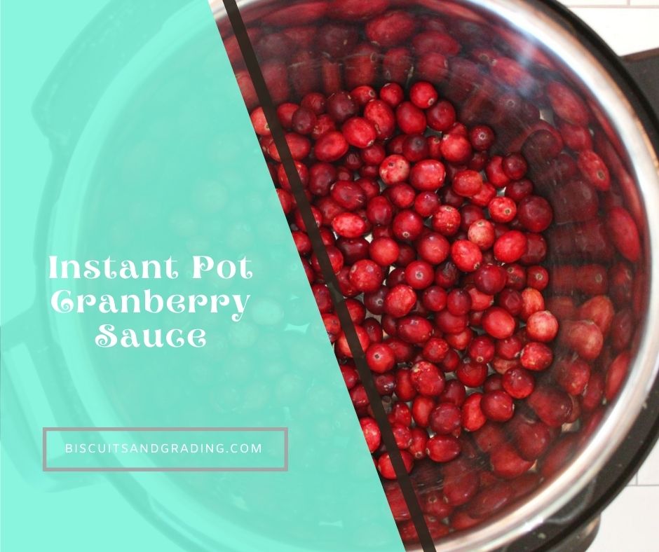 instant pot cranberry sauce featured image