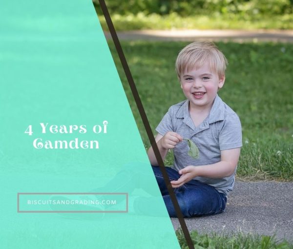 4 Years of Camden