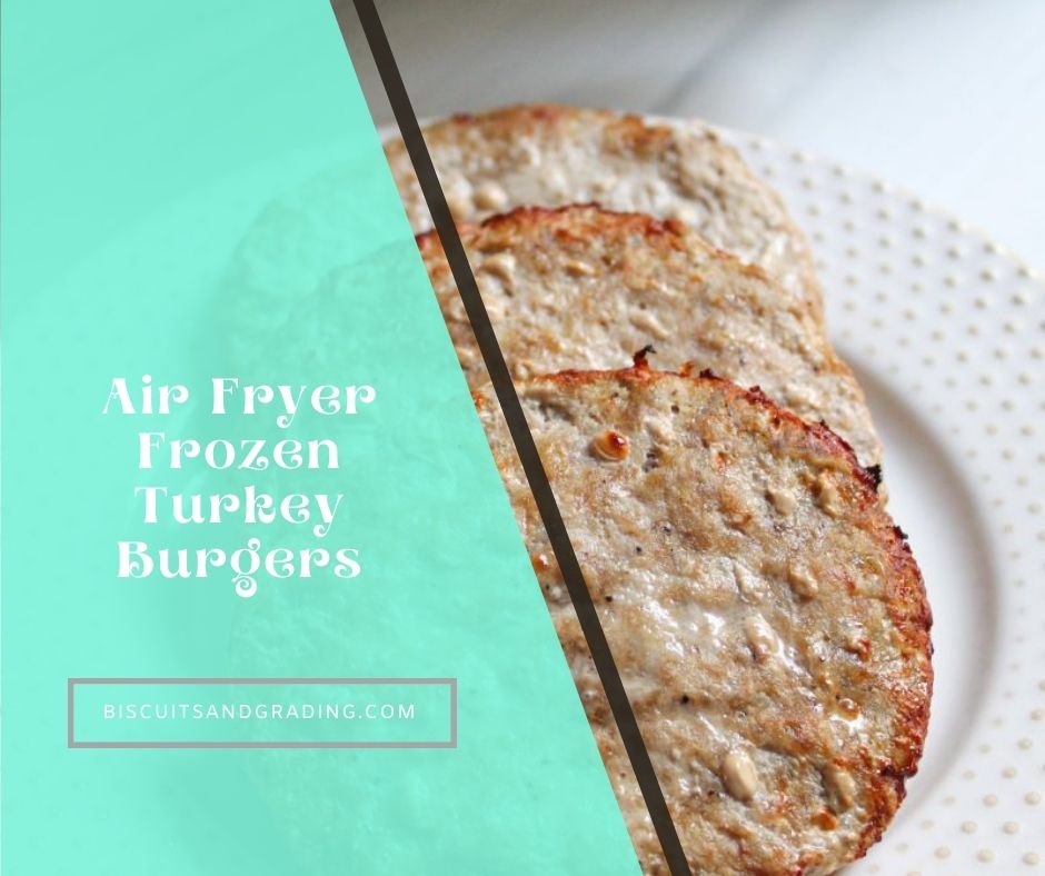 15 Minute Air Fryer Frozen Turkey Burgers