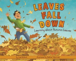 Leaves Fall Down Informational Book
