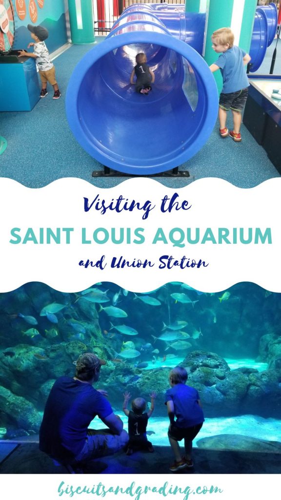 Saint Louis Aquarium pinterest