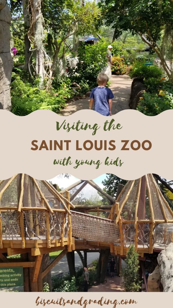 Saint Louis Zoo pinterest