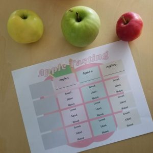 apples and apple tasting chart unwritten