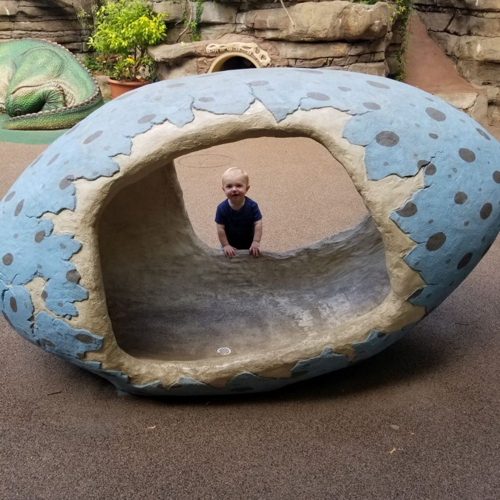 baby playing in dinosaur egg