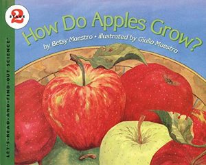 how do apples grow picture book