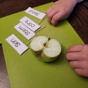 real apple with labels