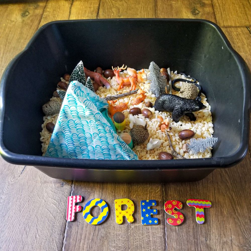 forest themed sensory bin
